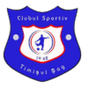 Timişul Şag