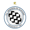 Mineros de Guyana